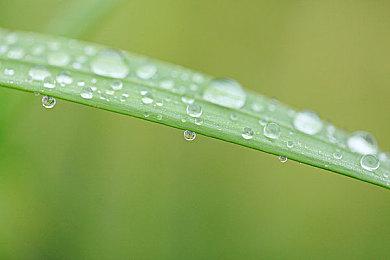 高达进化Gundam Evolution无法联机等问题解决办法＆加速推荐AK